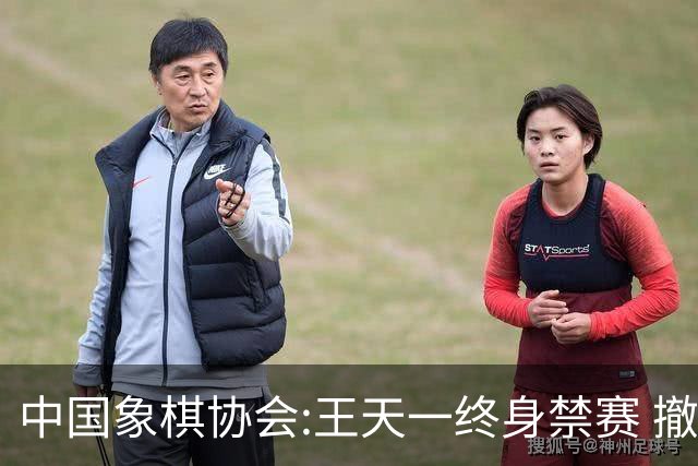 中国象棋协会:王天一终身禁赛 撤销特大等称号