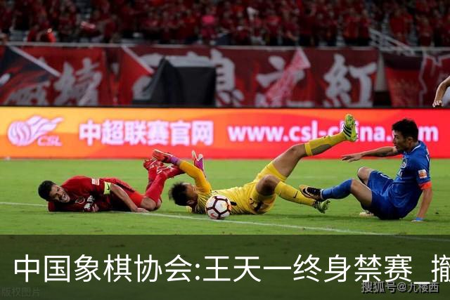 中国象棋协会:王天一终身禁赛 撤销特大等称号